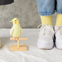 わんにゃん撮影写真ギャラリー