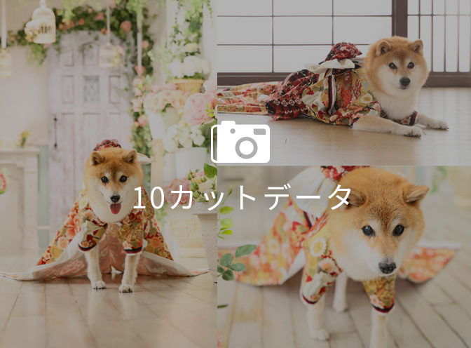 データ10カット