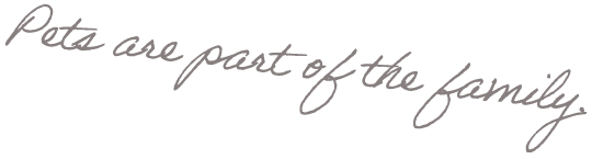 Pets are part of the family