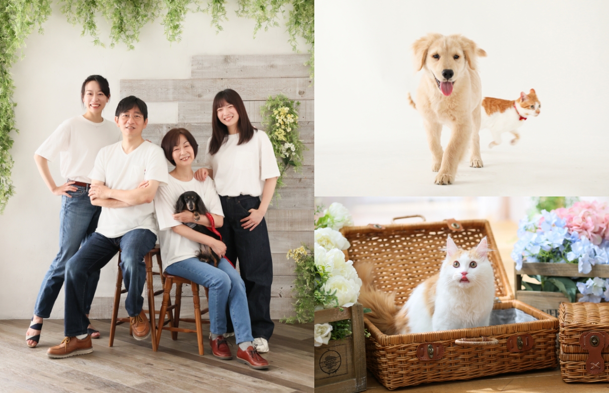 ペットたちの写真