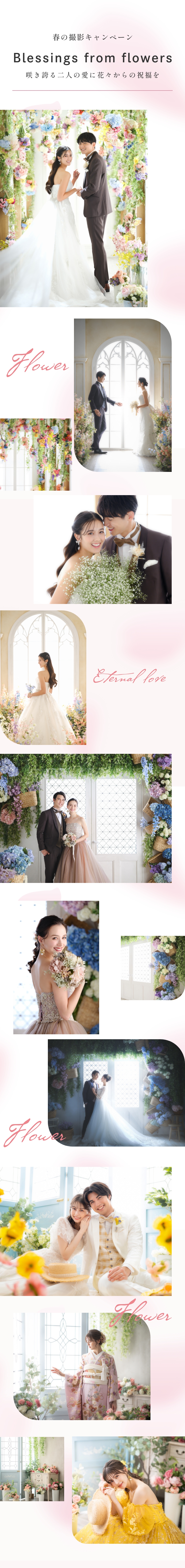 キャンペーンイメージ